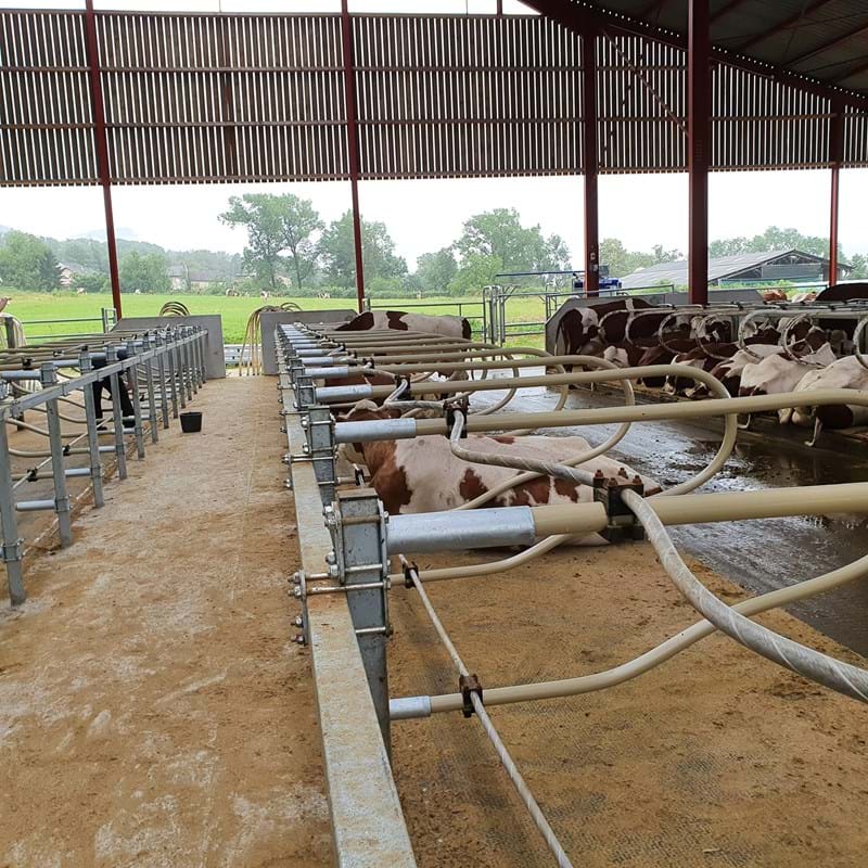 flexible Liegeboxen/ Cubicoli flessibili flexible Liegeboxen/ Cubicoli flessibili