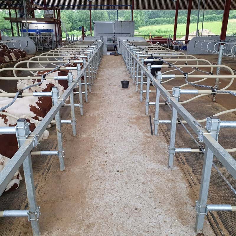 Liegeboxen/ Cubicoli (1)