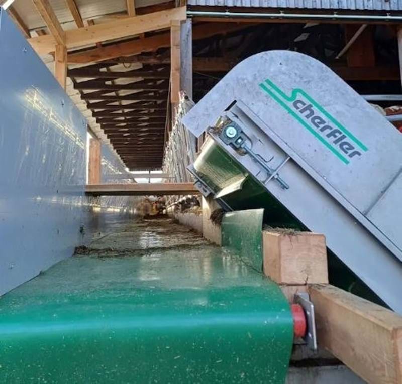 Scherfler Feed Belt 2
