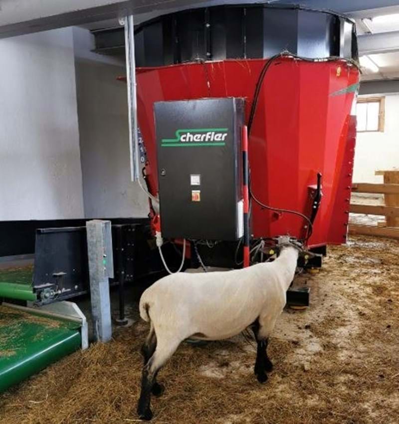 Scherfler E Stat 1