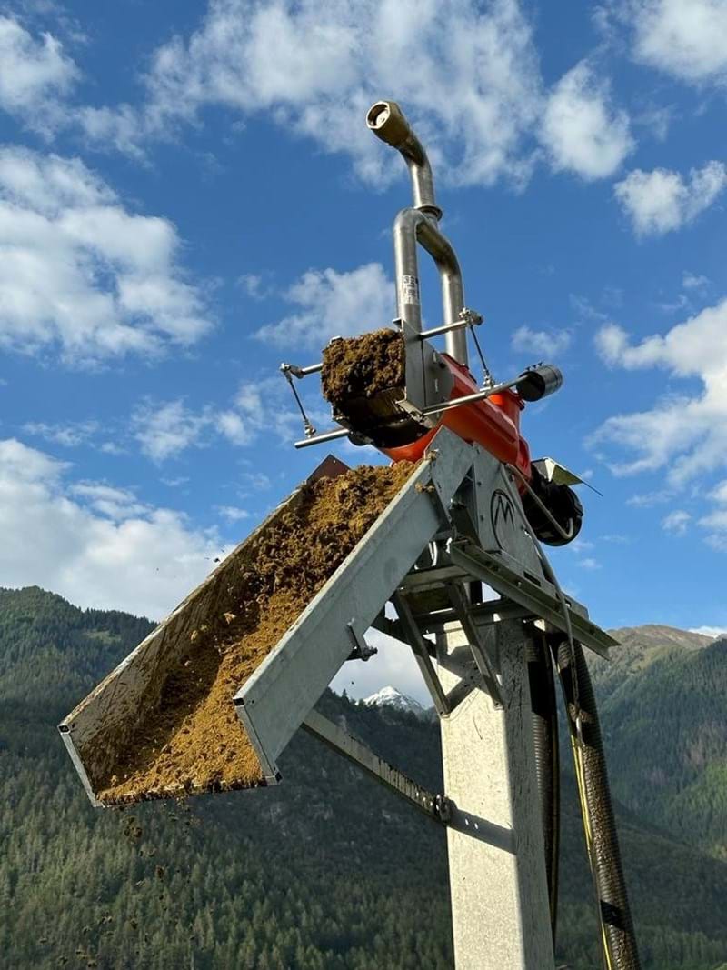 Basic Salcher Martina