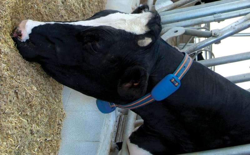 Afifarm Für Melkroboter