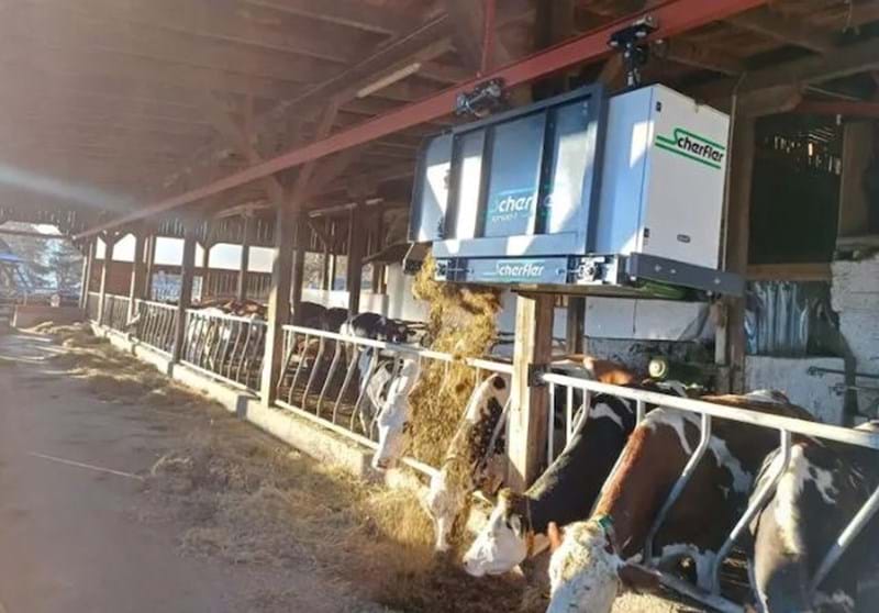 Scherfler Spread F 3